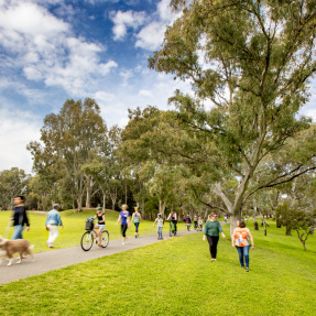 River Torrens Linear Park Path Users