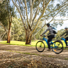 River Torrens Linear Park Path Cyclists