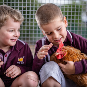 SGA 2020 PAC ELC Garden - Boys and Chickens