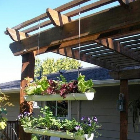 Gardening in Small Spaces pic