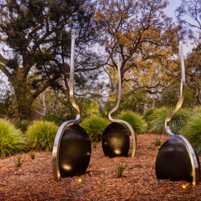 Seed Mix, Sprouting Wheat Grain — Nicholas Uhlmann, 2022: Old Mill Reserve, Hackney