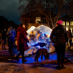 Rain installation - night view with crowd