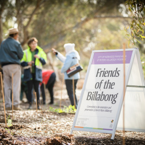 Friends of the Billabong Sign