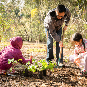 Billabong gardening kids