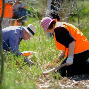 Gardeners-7582