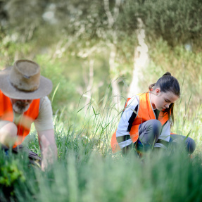 ANPSP_Gardeners-7600