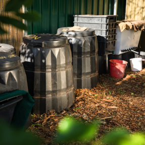 Payneham South - Winning Sustainable Garden - November 2018-14