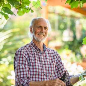 Payneham South - aWinning Sustainable Garden - November 2018-28