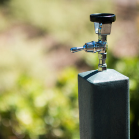 Joslin Reserve Tap