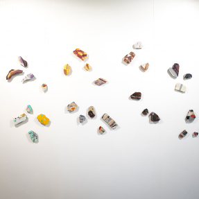 r-Nature Festival 2025