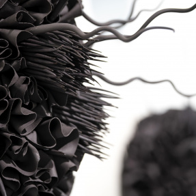 zd The Gallery Fringe