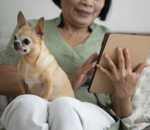Dog Registration