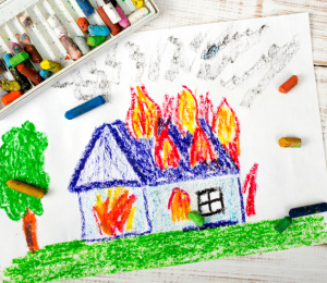 Fire Danger & Inspections