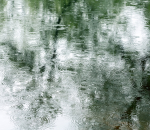 Flood Mapping