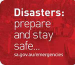 Emergencies & Disasters