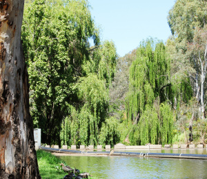 Water Management