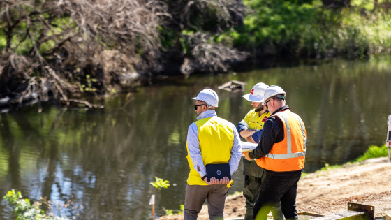 Linear Park Bank Erosion Remediation Project | City of Norwood Payneham ...