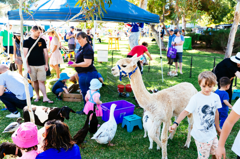 St Peters Fair 2024 City of Norwood Payneham & St Peters