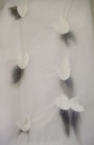 Maggie McCabe Art