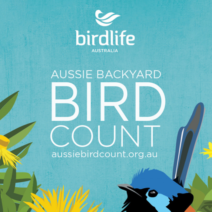 Image for Aussie Backyard Bird Count