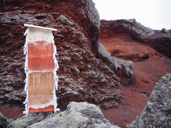 Image for SALA in NPSP: Sustainable Art