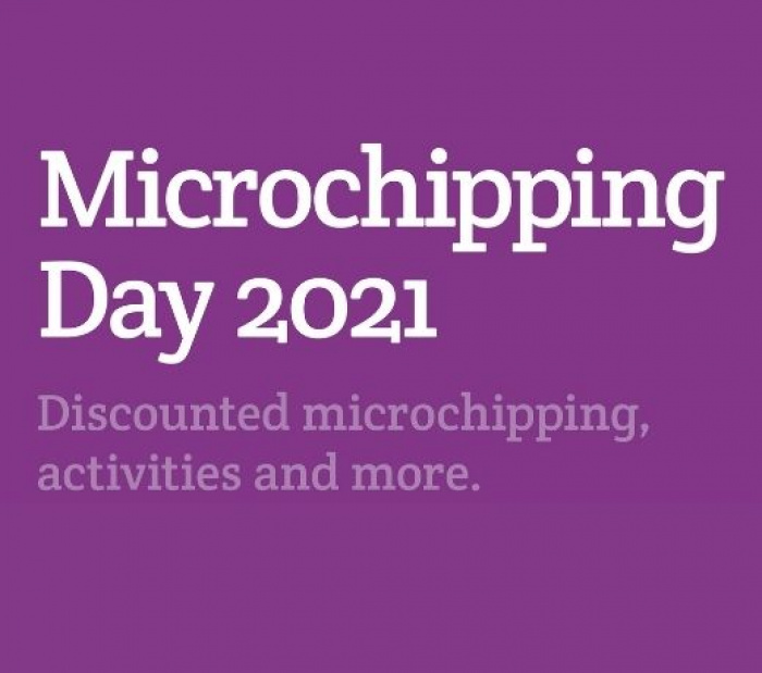 Image for Microchipping Day 2021