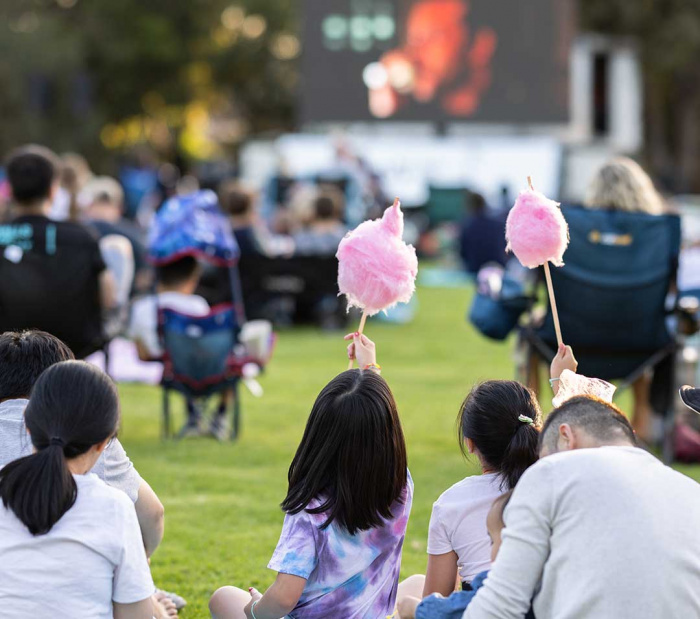 Image for Movie in the Park - The Santa Clause (G)