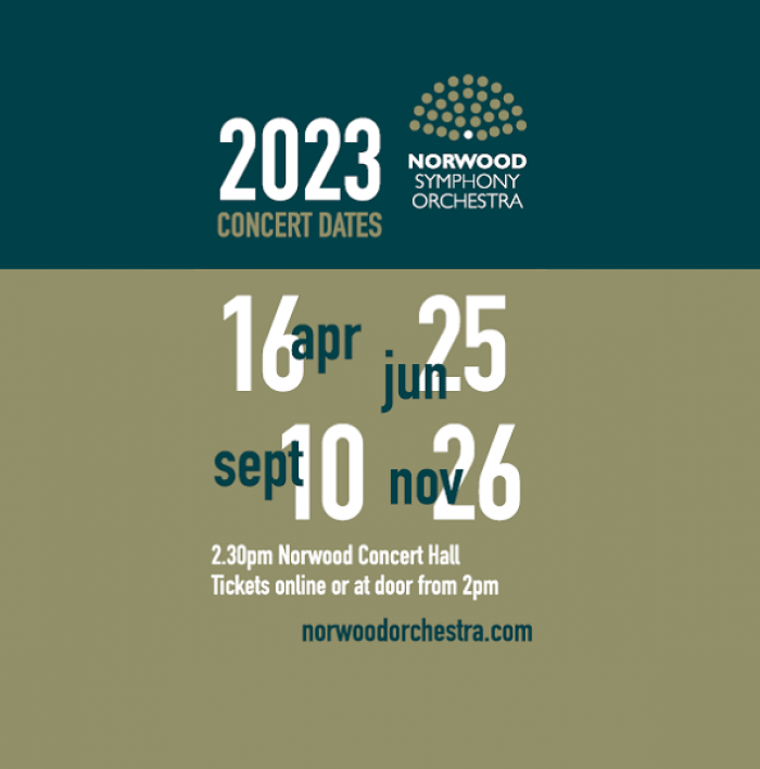 Image for Norwood Symphony Orchestra
