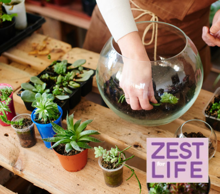 Image for Build your own terrarium - Zest for Life