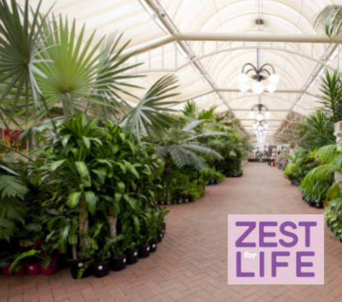 Image for Visit Virginia Nursery - Zest for Life