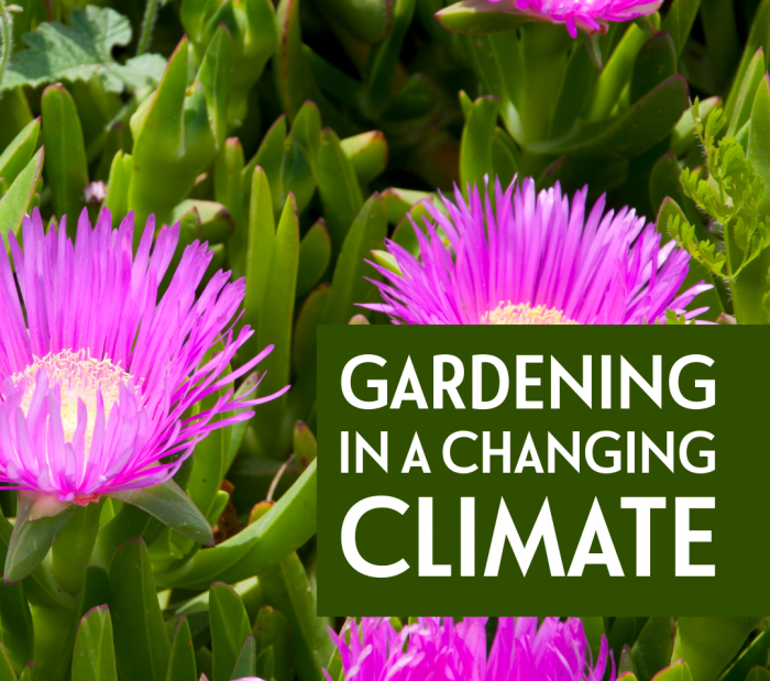 Image for Gardening In A Changing Climate