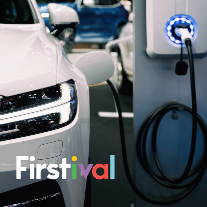 Image for Intro to EV