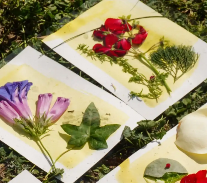 Image for Art at the Billabong