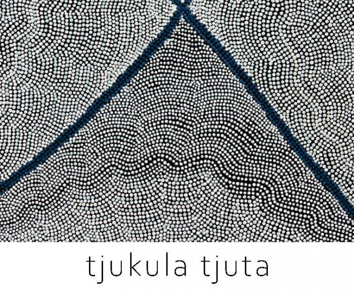 Image for Tjukuḻa Tjuṯa - Artists of Iwiri Arts