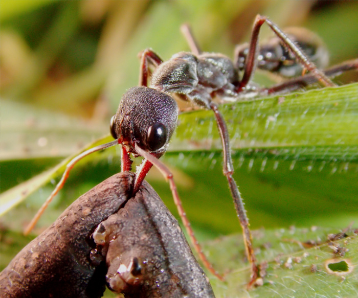 Image for small lives through the lens - Gregory Coote