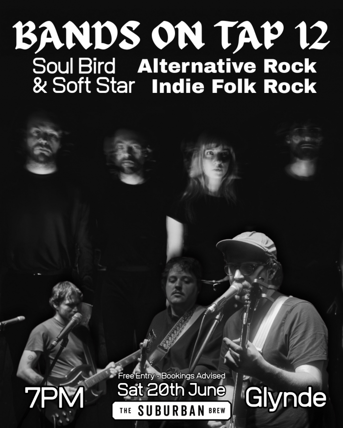 Image for Bands on Tap 12