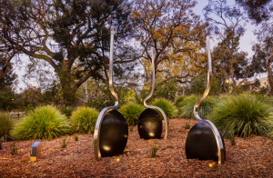 Seed Mix: Old Mill Reserve, Hackney