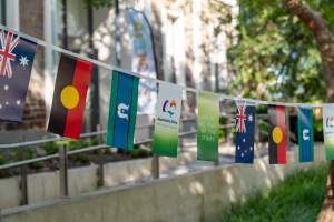 Citizenship Ceremony flags