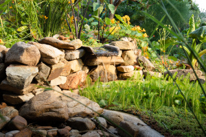 Sustainable Garden Payneham South - WSGD